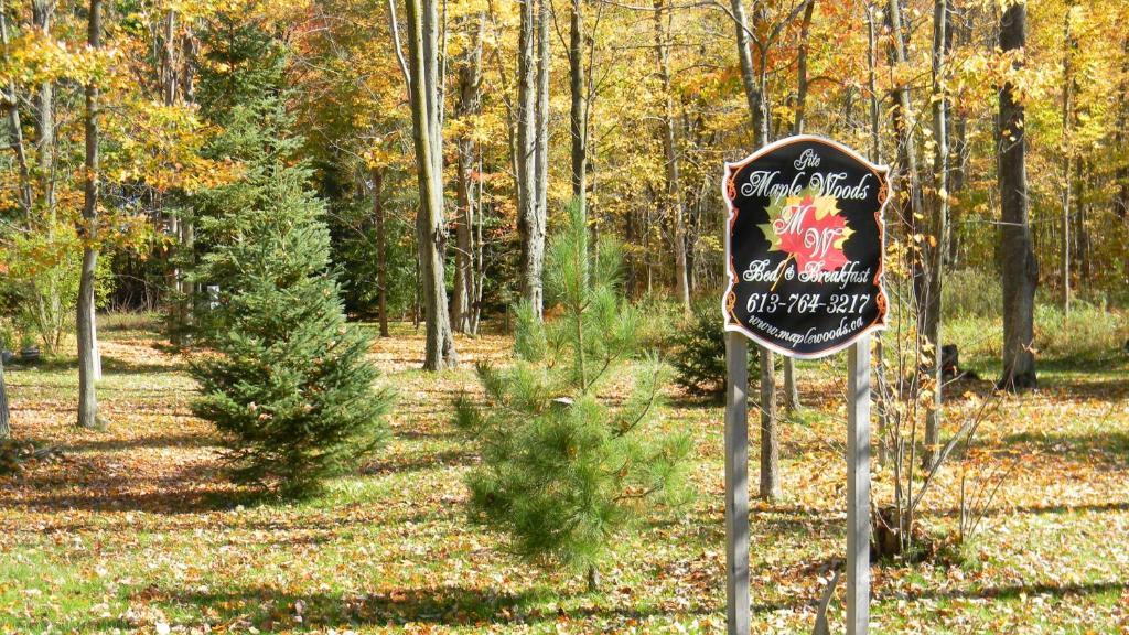 Maple Woods Bed and Breakfast Casselman Esterno foto